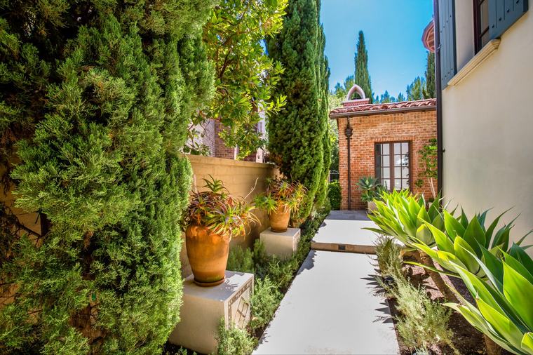 Side garden and terracotta planters
